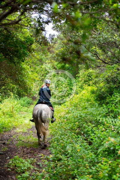 On The Trails in the Azores with Wild Women Expeditions