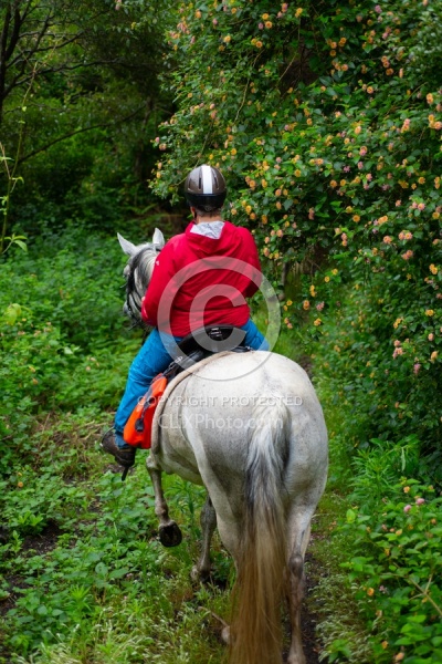 On The Trails in the Azores with Wild Women Expeditions