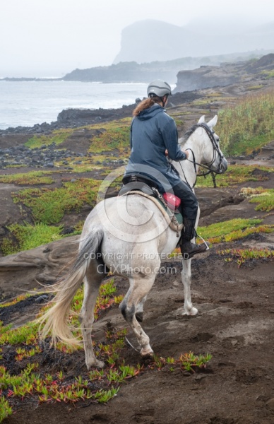 On The Trails in the Azores with Wild Women Expeditions