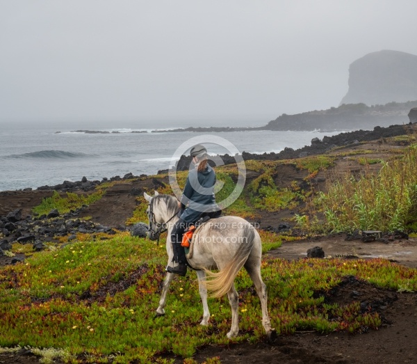 On The Trails in the Azores with Wild Women Expeditions