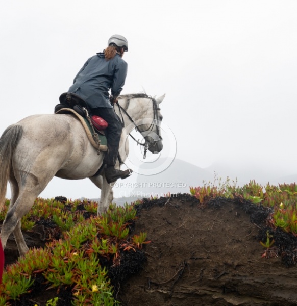 On The Trails in the Azores with Wild Women Expeditions