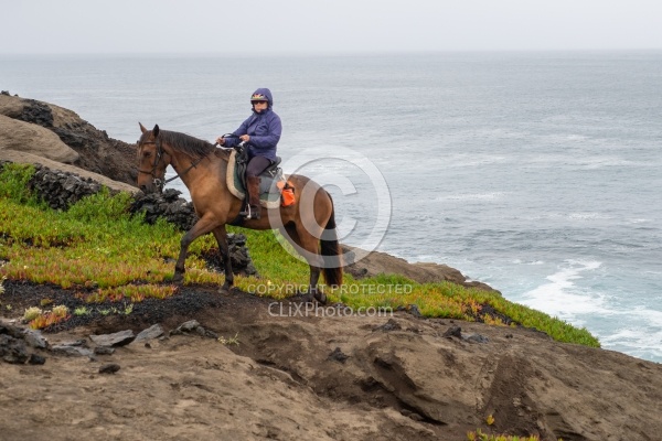 On The Trails in the Azores with Wild Women Expeditions