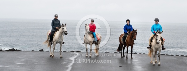 On The Trails in the Azores with Wild Women Expeditions