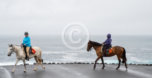 On The Trails in the Azores with Wild Women Expeditions