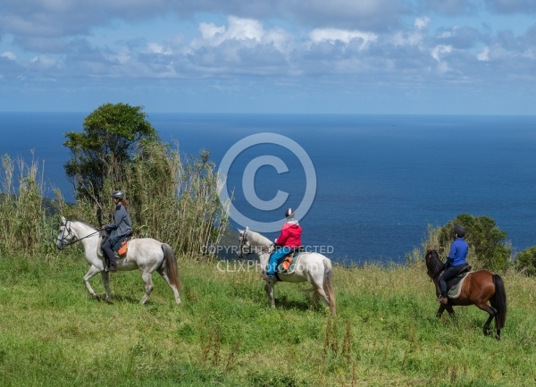 On The Trails in the Azores with Wild Women Expeditions