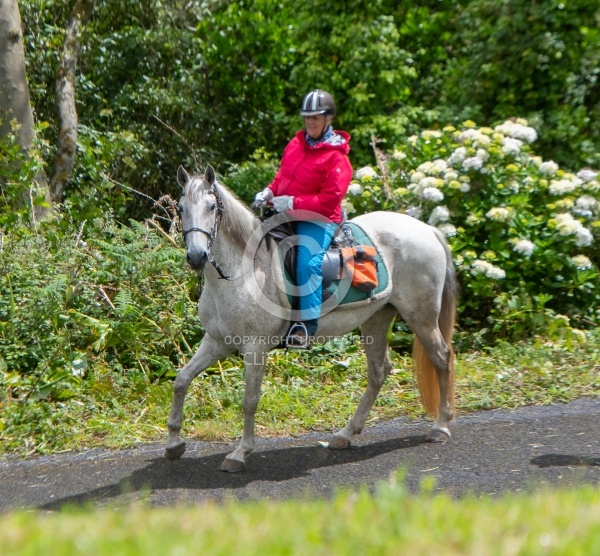 On The Trails in the Azores with Wild Women Expeditions