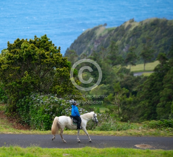 On The Trails in the Azores with Wild Women Expeditions