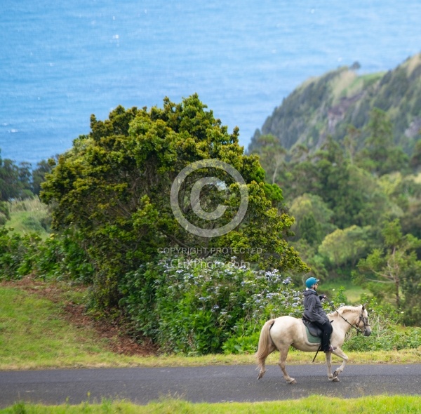 On The Trails in the Azores with Wild Women Expeditions