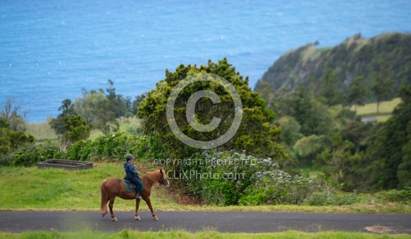 On The Trails in the Azores with Wild Women Expeditions