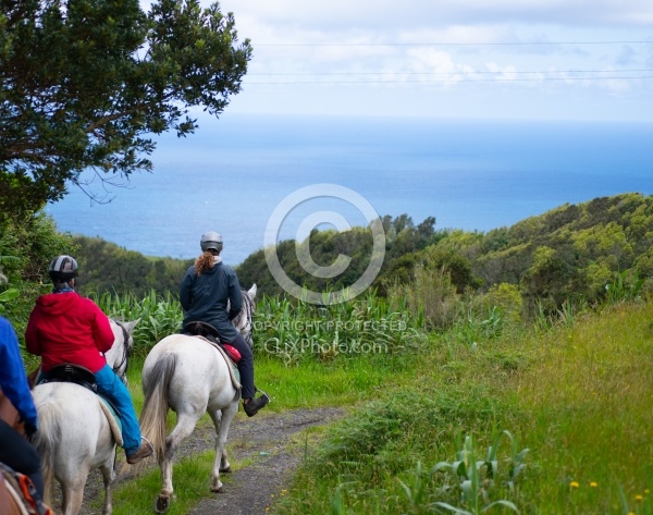 On The Trails in the Azores with Wild Women Expeditions