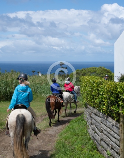 On The Trails in the Azores with Wild Women Expeditions