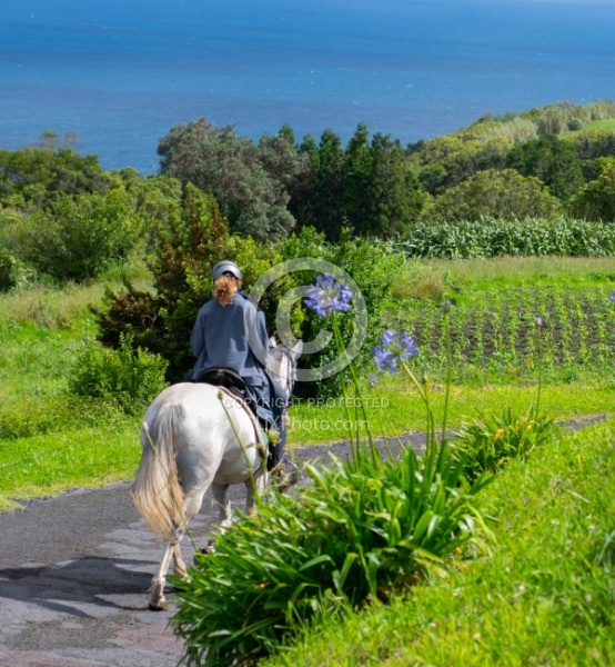 On The Trails in the Azores with Wild Women Expeditions