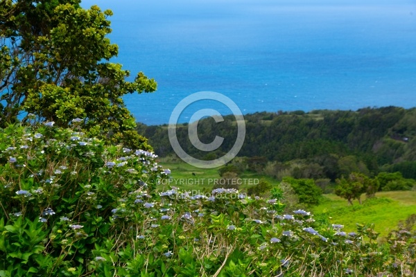 Scenery Of Faial