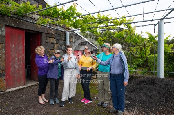 Trip to Pico Island