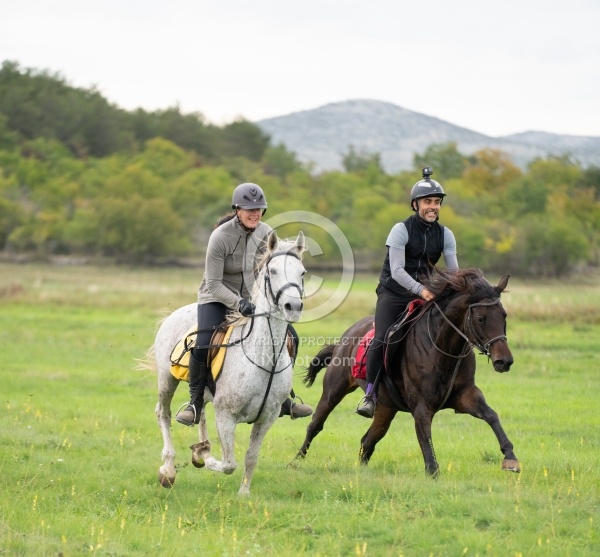 Galloping on the Trails in Croatia