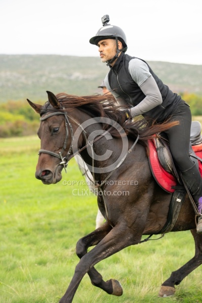 Galloping on the Trails in Croatia