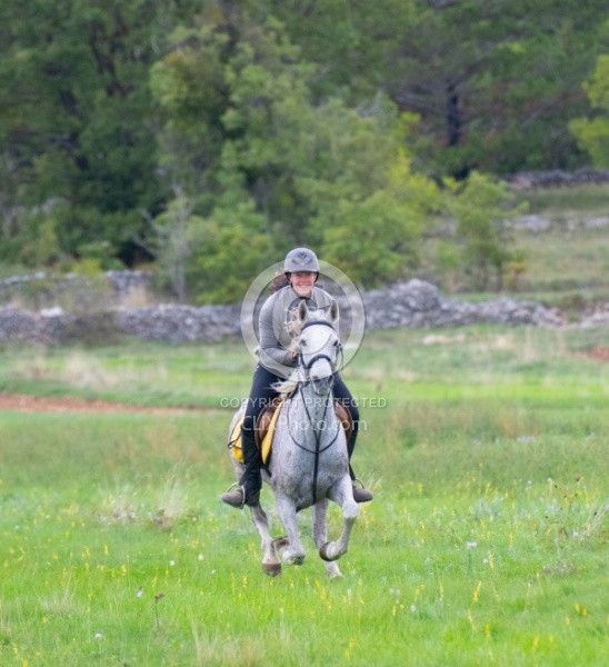 Galloping on the Trails in Croatia