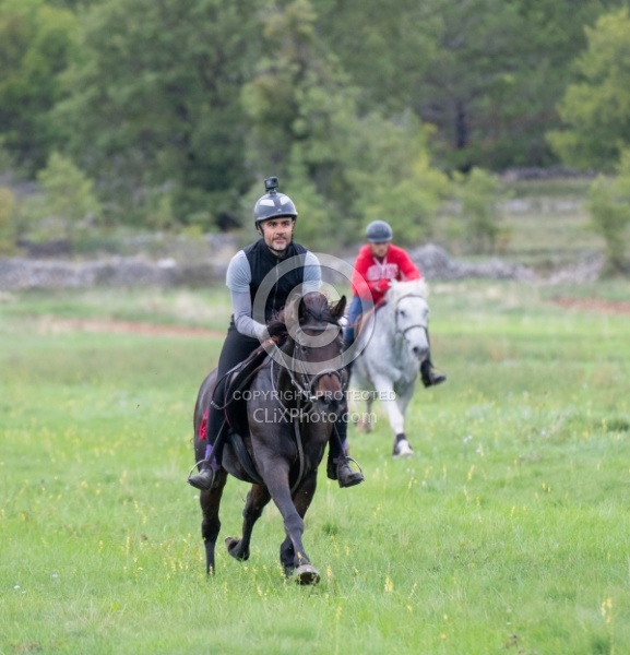 Galloping on the Trails in Croatia