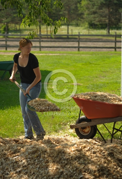 Bringing in Shavings