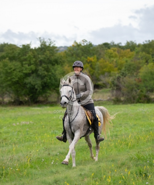 Galloping on the Trails in Croatia