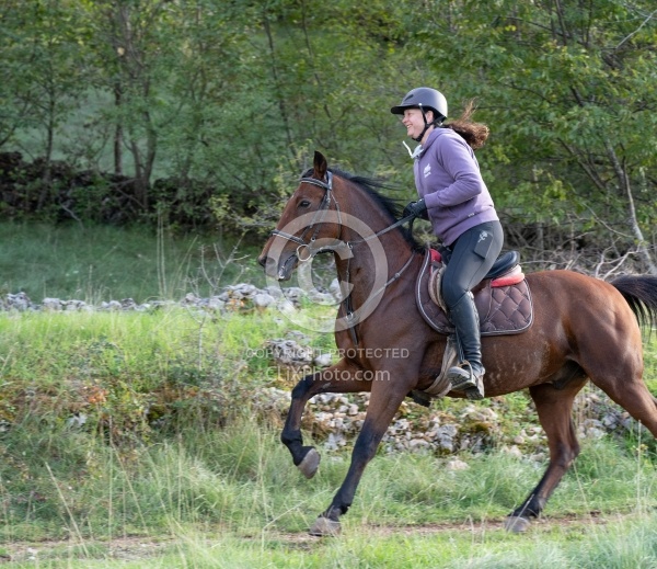Galloping on the Trails in Croatia