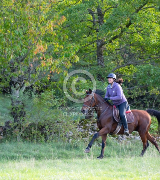 Galloping on the Trails in Croatia