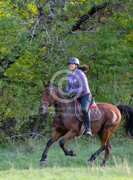 Galloping on the Trails in Croatia