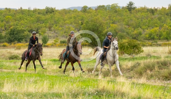 Galloping on the Trails in Croatia