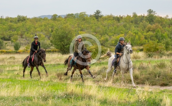 Galloping on the Trails in Croatia