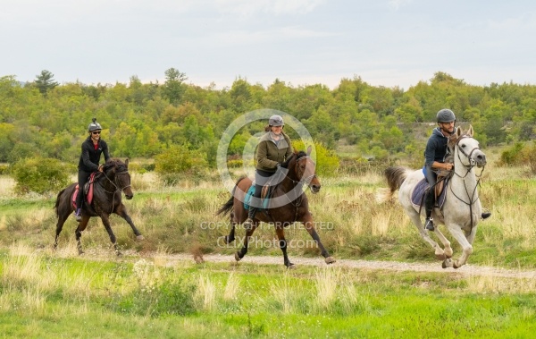 Galloping on the Trails in Croatia