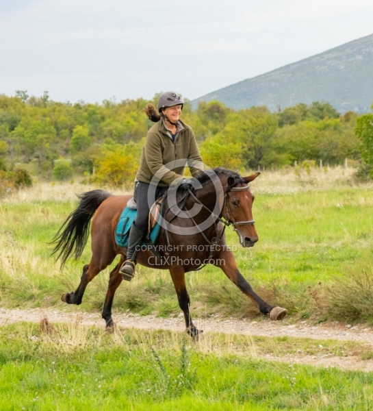 Galloping on the Trails in Croatia