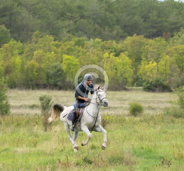 Galloping on the Trails in Croatia