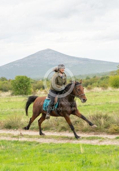 Galloping on the Trails in Croatia