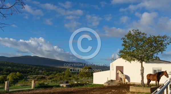 Javor Equestrian Centre Croatia