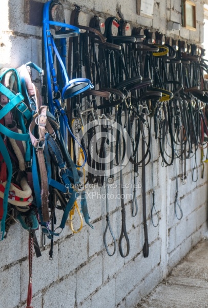 Javor Equestrian Centre Croatia