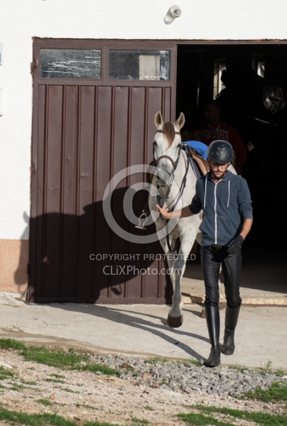 Javor Equestrian Centre Croatia