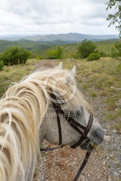 ON The Trails Croatia Ride