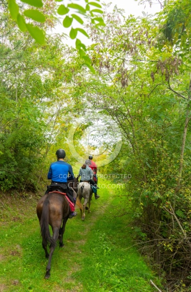 ON The Trails Croatia Ride