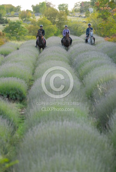 ON The Trails Croatia Ride