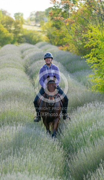 ON The Trails Croatia Ride