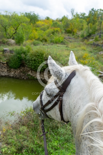 ON The Trails Croatia Ride