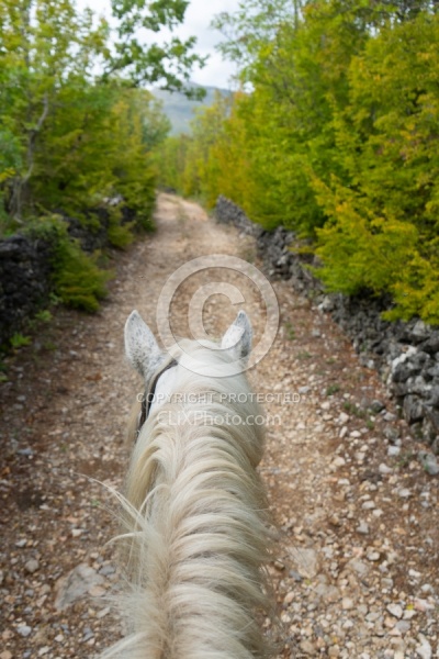 ON The Trails Croatia Ride