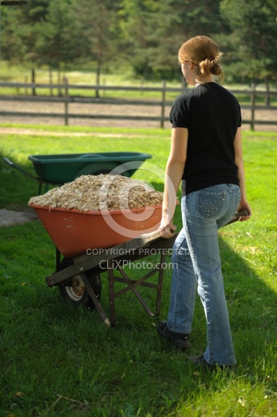 Bringing in Shavings