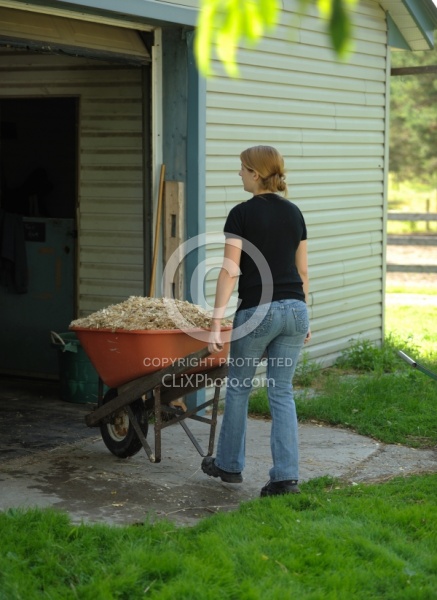 Bringing in Shavings