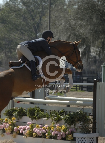 Hunter over Fences