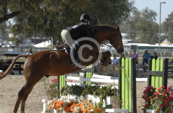 Hunter over Fences