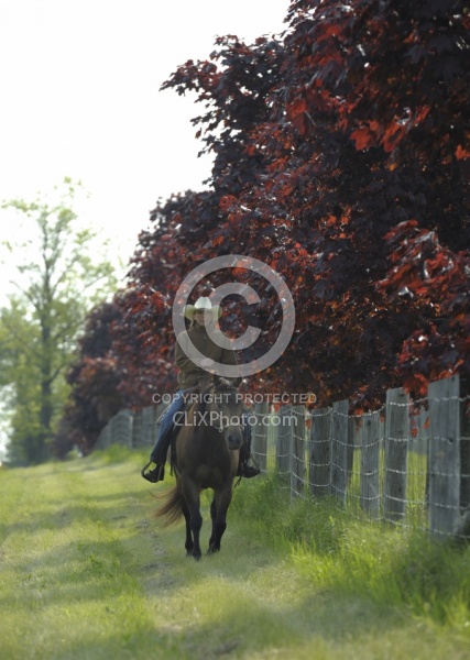 Trail Riding Western in Fall