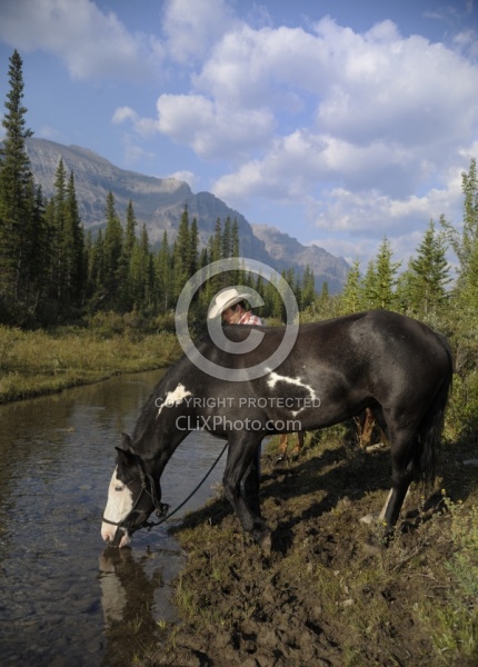 Wild Deuce Womens Retreat