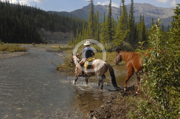 Wild Deuce Womens Retreat