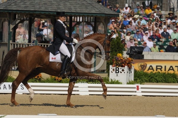 Ashley Holzer and Pop Art perform at the 2010 Alltech World Equestrian Games